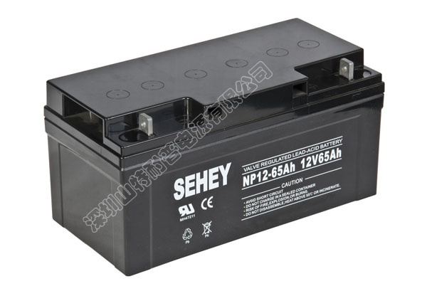 SEHEY 12V65Ah